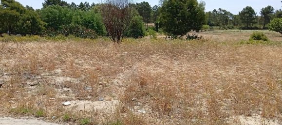 9 bedrooms Land in Alcacer do Sal, Portugal No. 144498 13