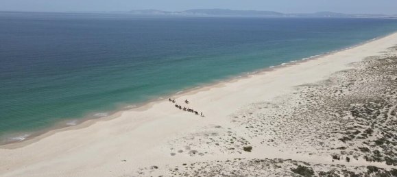 9 bedrooms Land in Alcacer do Sal, Portugal No. 144498 20