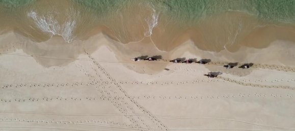 9 bedrooms Land in Alcacer do Sal, Portugal No. 144498 22