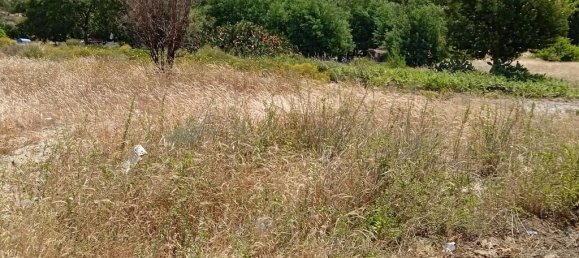 9 bedrooms Land in Alcacer do Sal, Portugal No. 144498 15