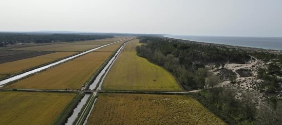 9 bedrooms Land in Alcacer do Sal, Portugal No. 144498 24