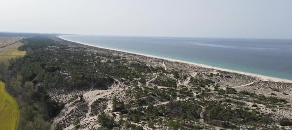 9 bedrooms Land in Alcacer do Sal, Portugal No. 144498 21