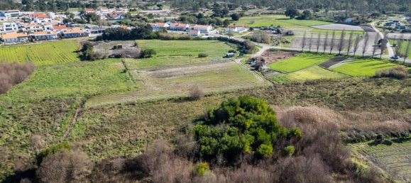 9 bedrooms Land in Alcacer do Sal, Portugal No. 144498 12