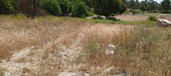 9 bedrooms Land in Alcacer do Sal, Portugal No. 144498 17