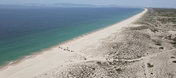 9 bedrooms Land in Alcacer do Sal, Portugal No. 144498 23