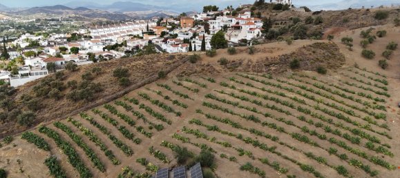 6 bedrooms House in Coin, Spain No. 147028 28