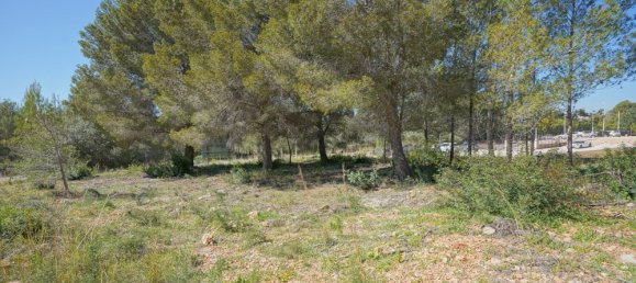  قطعة أرض في Javea, Spain رقم 8247 5
