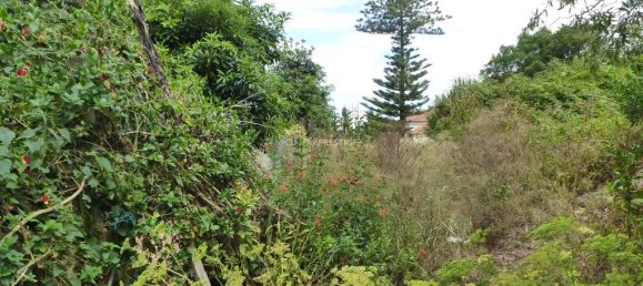 Grundstück in Sintra, Portugal 856m², Nr. 217566 4