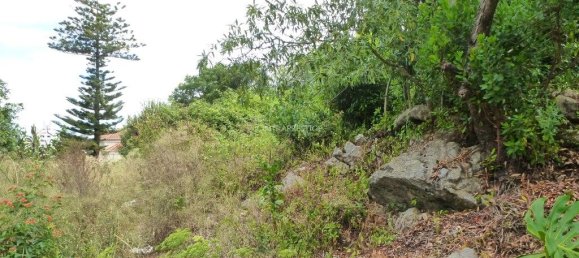 Grundstück in Sintra, Portugal 856m², Nr. 217566 6