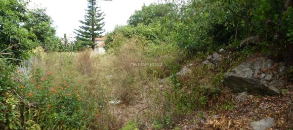 Grundstück in Sintra, Portugal 856m², Nr. 217566 9