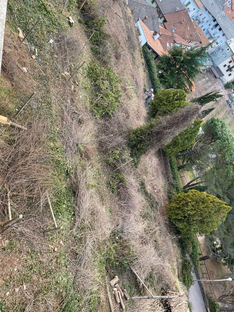 800m² Land in Lavis, Italy No. 254267