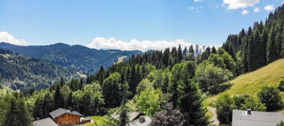 4451m² Hotel in Les Gets, France No. 396442 8