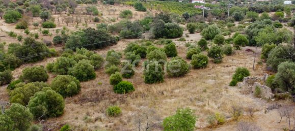 Terreno en Olhao, Portugal No. 79290 12