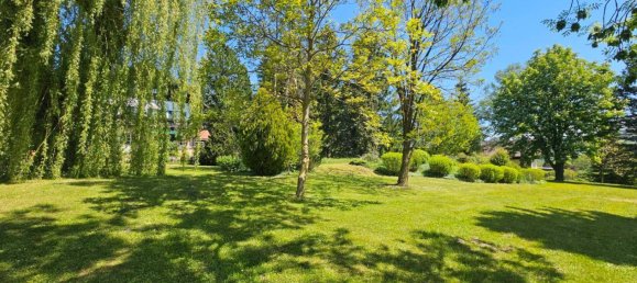 5-Zimmer Haus in Brand-Laaben, Austria, Nr. 158919 4