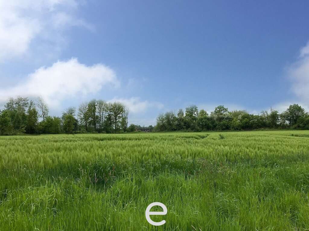  Land in Taufkirchen an der Pram, Austria No. 85901