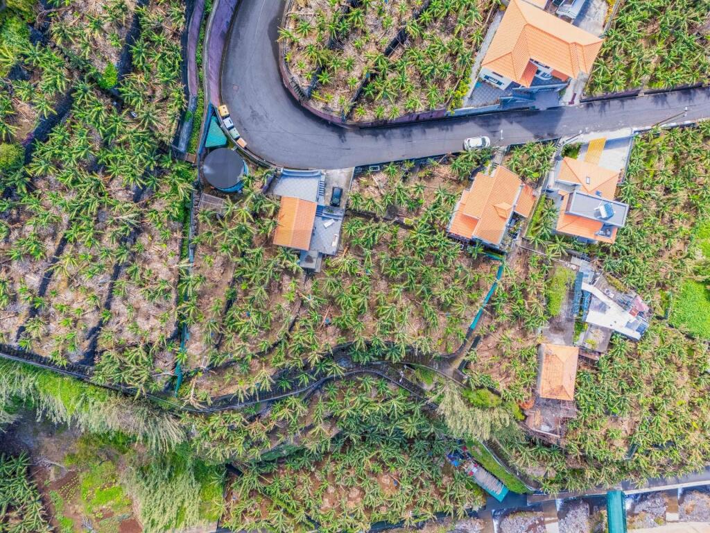 3 bedrooms House in Ponta do Sol, Portugal No. 208833