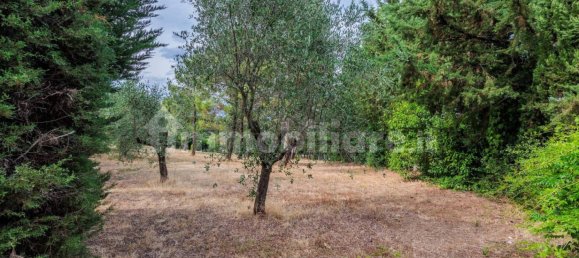 3 bedrooms House in Casciana Terme Lari, Italy No. 261799 39