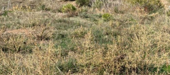  قطعة أرض في Casares, Spain رقم 219067 2