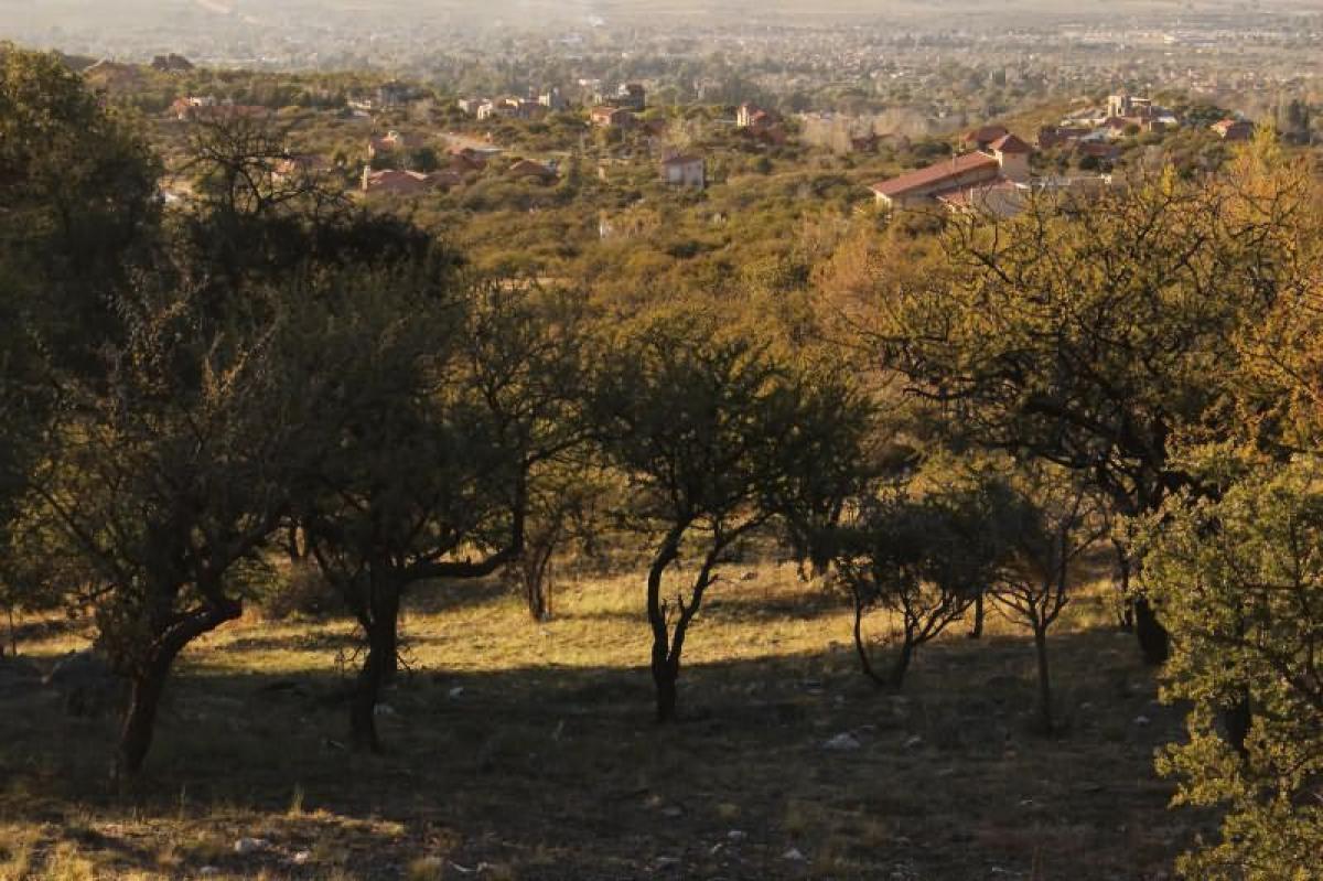 Grundstück in San Luis, Argentina, Nr. 38224