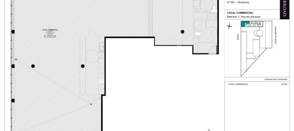 Propriété commerciale à Strasbourg, France 228m² No. 46191 7