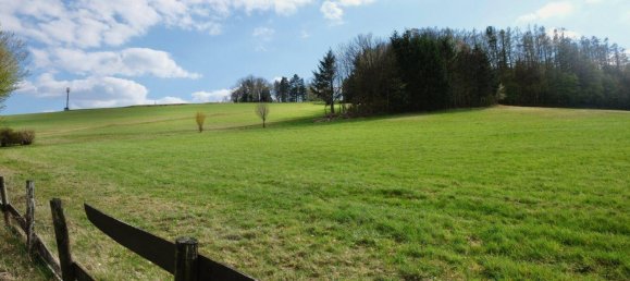 Земельный участок в Нойстифт-Иннерманцинг, Австрия № 163462 4