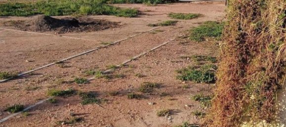 Casa T3 em Hondon De Las Nieves, Spain N.º 161086 19