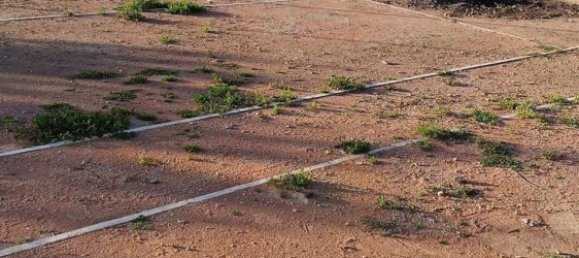 Casa T3 em Hondon De Las Nieves, Spain N.º 161086 23