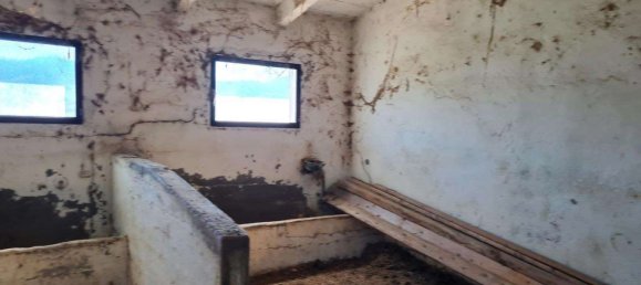 6غرفة منزل في Montiano, Italy رقم 15953 6