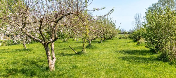 Casa de 12 habitaciónes en Dithmarschen, Germany No. 39389 22