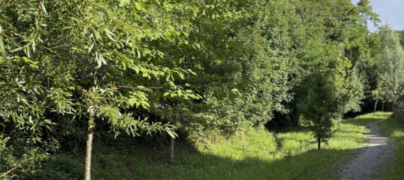 Adosado de 3 dormitorios en Rems-Murr-Kreis, Germany No. 283304 4