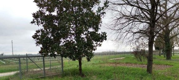 Квартира с 7 спальнями в Альфонсине, Италия № 319368 5