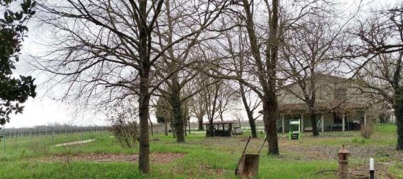 Квартира с 7 спальнями в Альфонсине, Италия № 319368 6