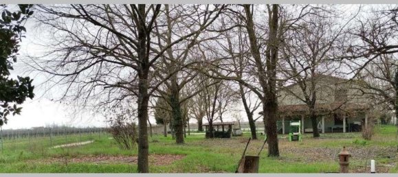 Квартира с 7 спальнями в Альфонсине, Италия № 319368 25