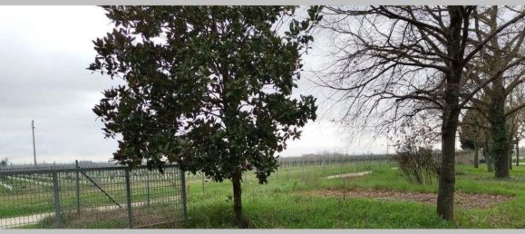 Квартира с 7 спальнями в Альфонсине, Италия № 319368 24