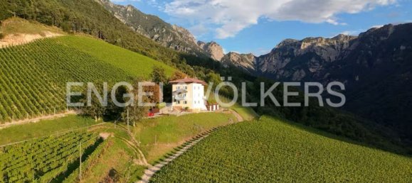 9 bedrooms House in Ala, Italy No. 334443 13