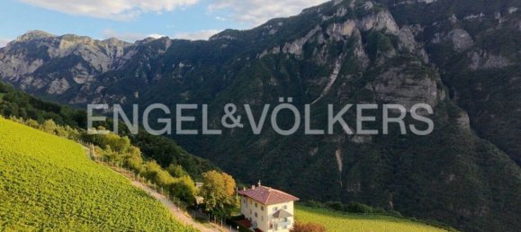 9 bedrooms House in Ala, Italy No. 334443 11