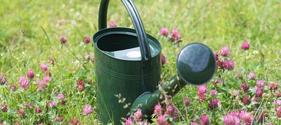 2-Zimmer Haus in Feldkirch, Austria, Nr. 134316 8