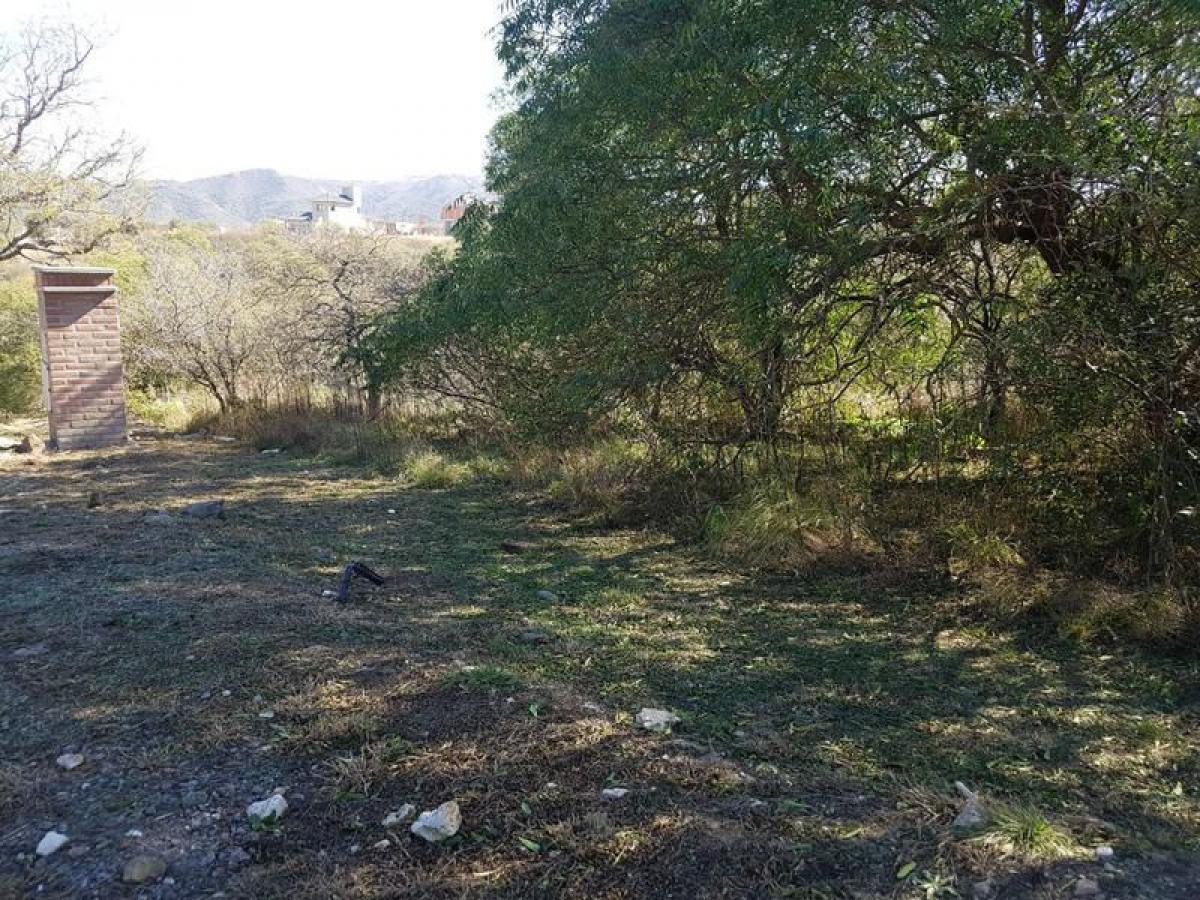 Grundstück in Cordoba, Argentina, Nr. 42201