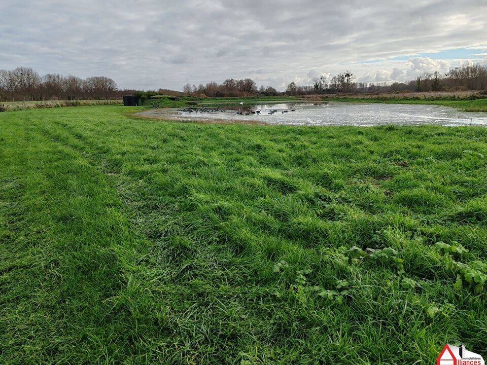 Terreno em Saigneville, France 12100 m² N.º 65494