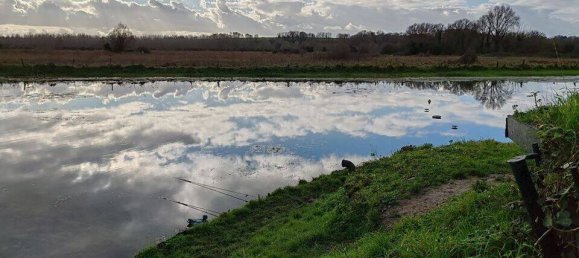 Terreno em Saigneville, France 12100 m² N.º 65494 2