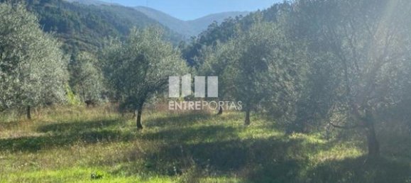 Grundstück in Sao Cristovao de Nogueira, Portugal 1260m², Nr. 55614 29