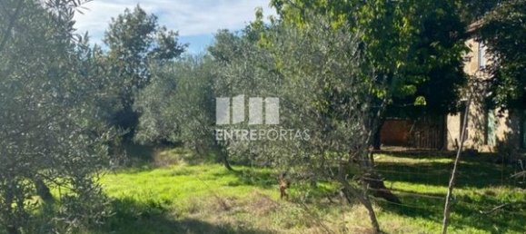 Grundstück in Sao Cristovao de Nogueira, Portugal 1260m², Nr. 55614 13