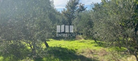 Grundstück in Sao Cristovao de Nogueira, Portugal 1260m², Nr. 55614 4