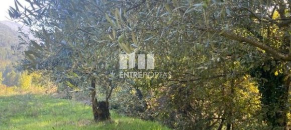 Grundstück in Sao Cristovao de Nogueira, Portugal 1260m², Nr. 55614 23