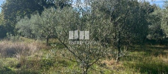 Grundstück in Sao Cristovao de Nogueira, Portugal 1260m², Nr. 55614 25