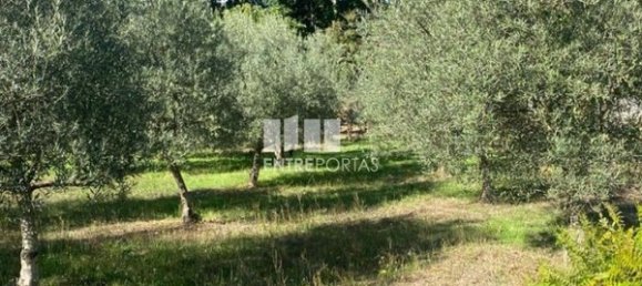 Grundstück in Sao Cristovao de Nogueira, Portugal 1260m², Nr. 55614 28