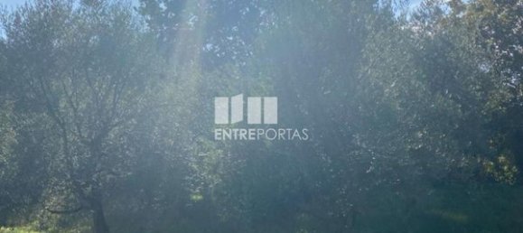 Grundstück in Sao Cristovao de Nogueira, Portugal 1260m², Nr. 55614 2