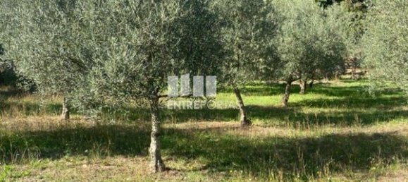 Grundstück in Sao Cristovao de Nogueira, Portugal 1260m², Nr. 55614 27