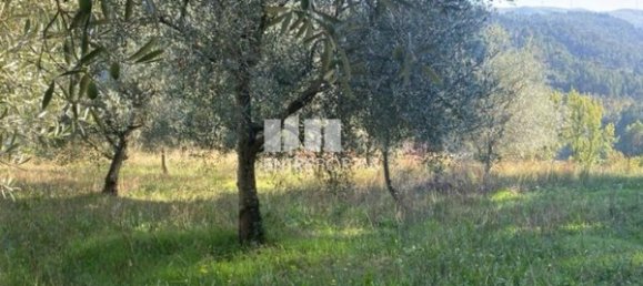 Grundstück in Sao Cristovao de Nogueira, Portugal 1260m², Nr. 55614 22