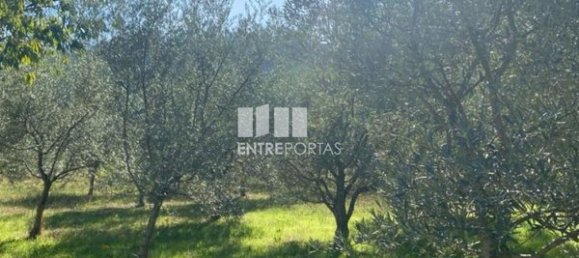 Grundstück in Sao Cristovao de Nogueira, Portugal 1260m², Nr. 55614 14